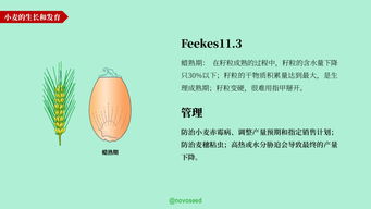 農產品基礎知識系列 大豆、小麥與家禽家畜
